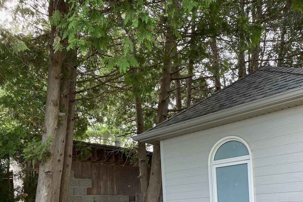 Photo of Outdoor in Kirkfield