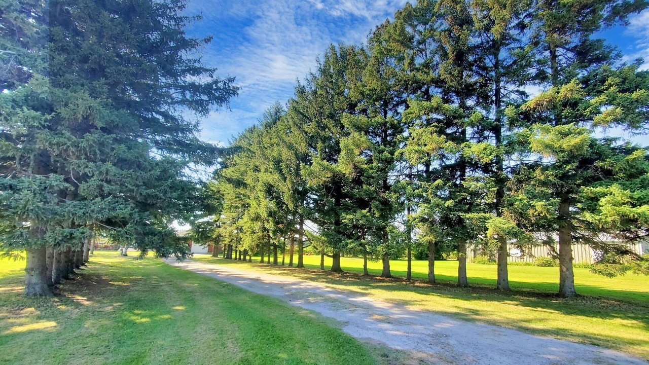 Photo of Outdoor in Niagara-on-the-Lake