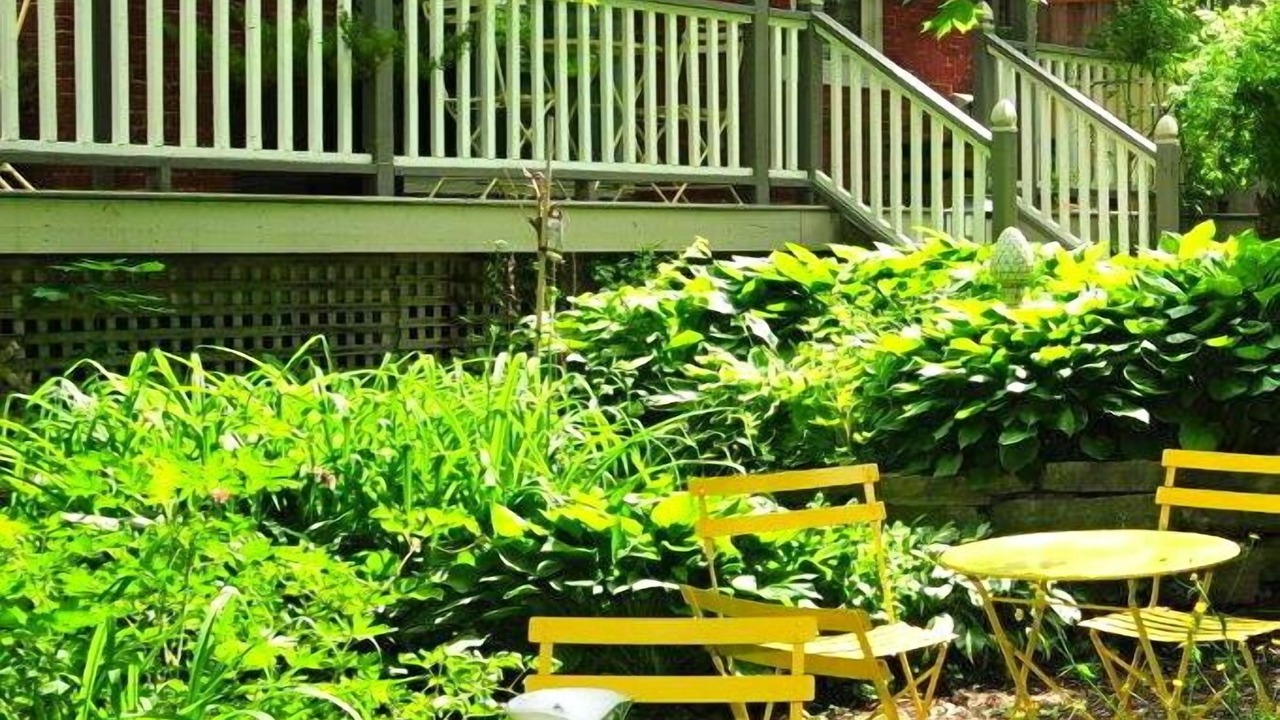 Photo of Outdoor in Port Hope