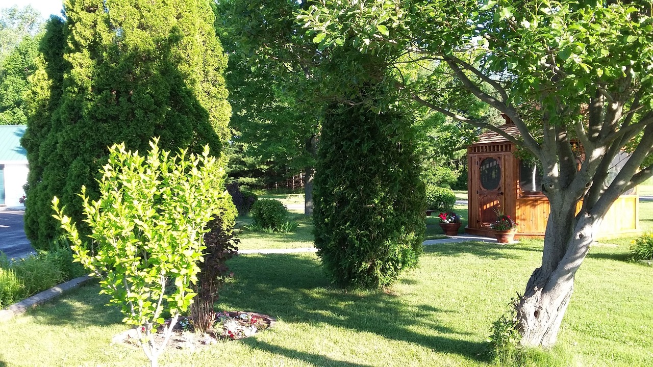 Photo of Outdoor in Harwich