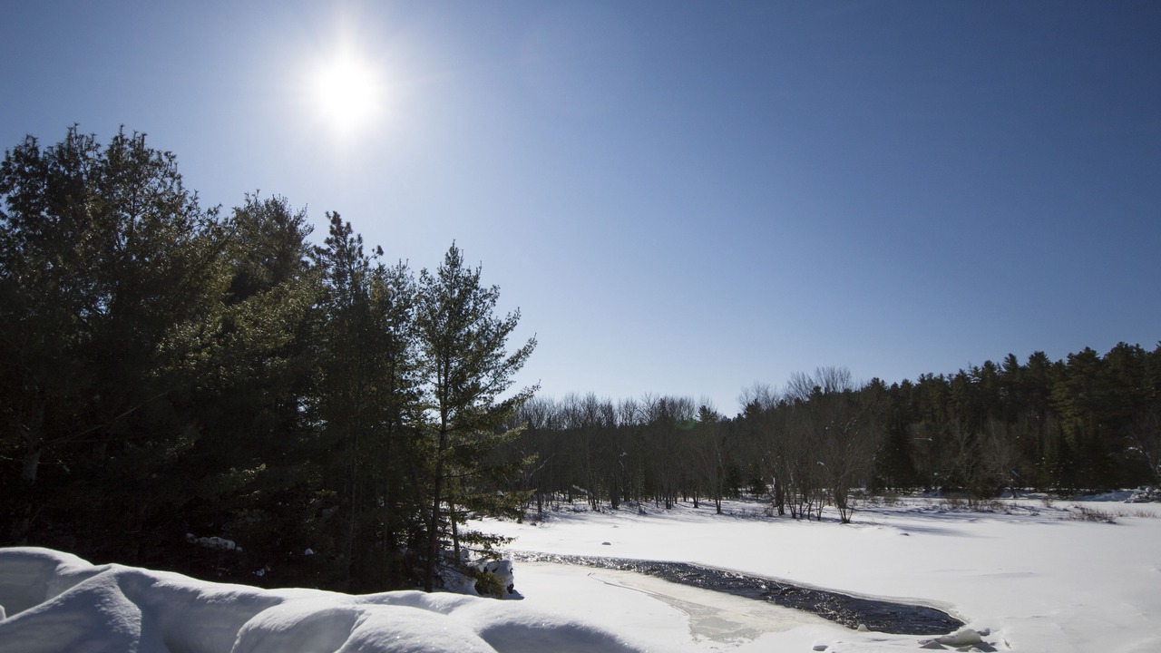 Photo of Outdoor in Calvin