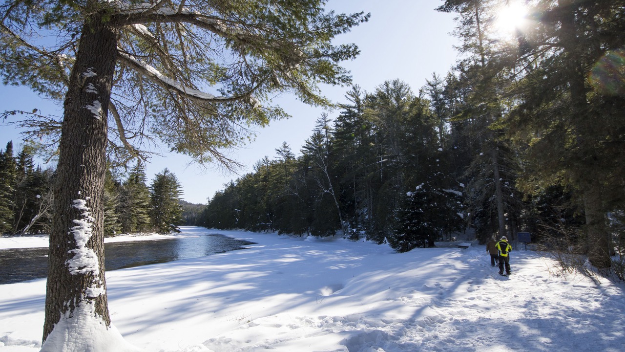 Photo of Outdoor in Calvin