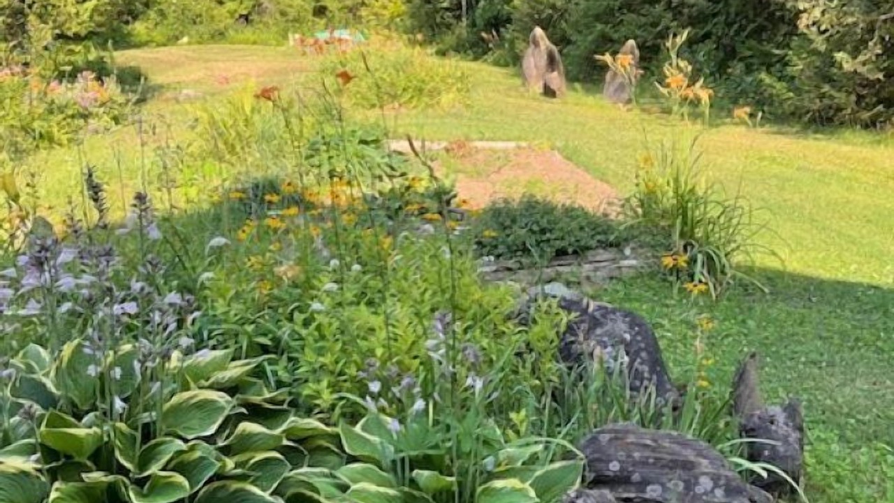 Photo of Outdoor in Limerick