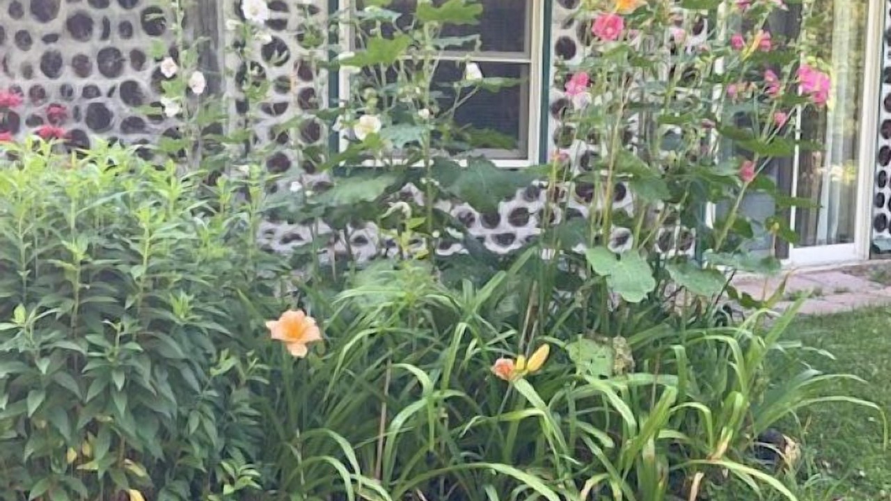 Photo of Outdoor in Limerick