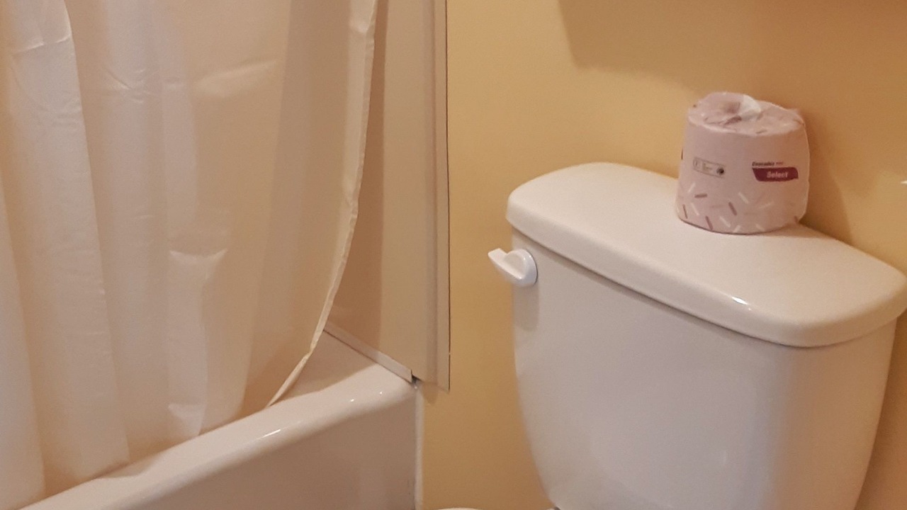 Photo of Bathroom in Algoma District