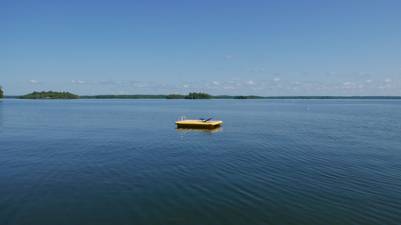 Photo of Others in Orr
