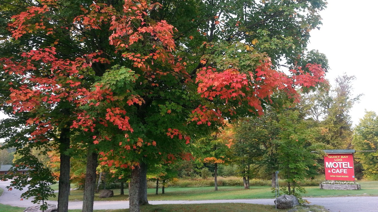 Photo of Outdoor in Magnetawan