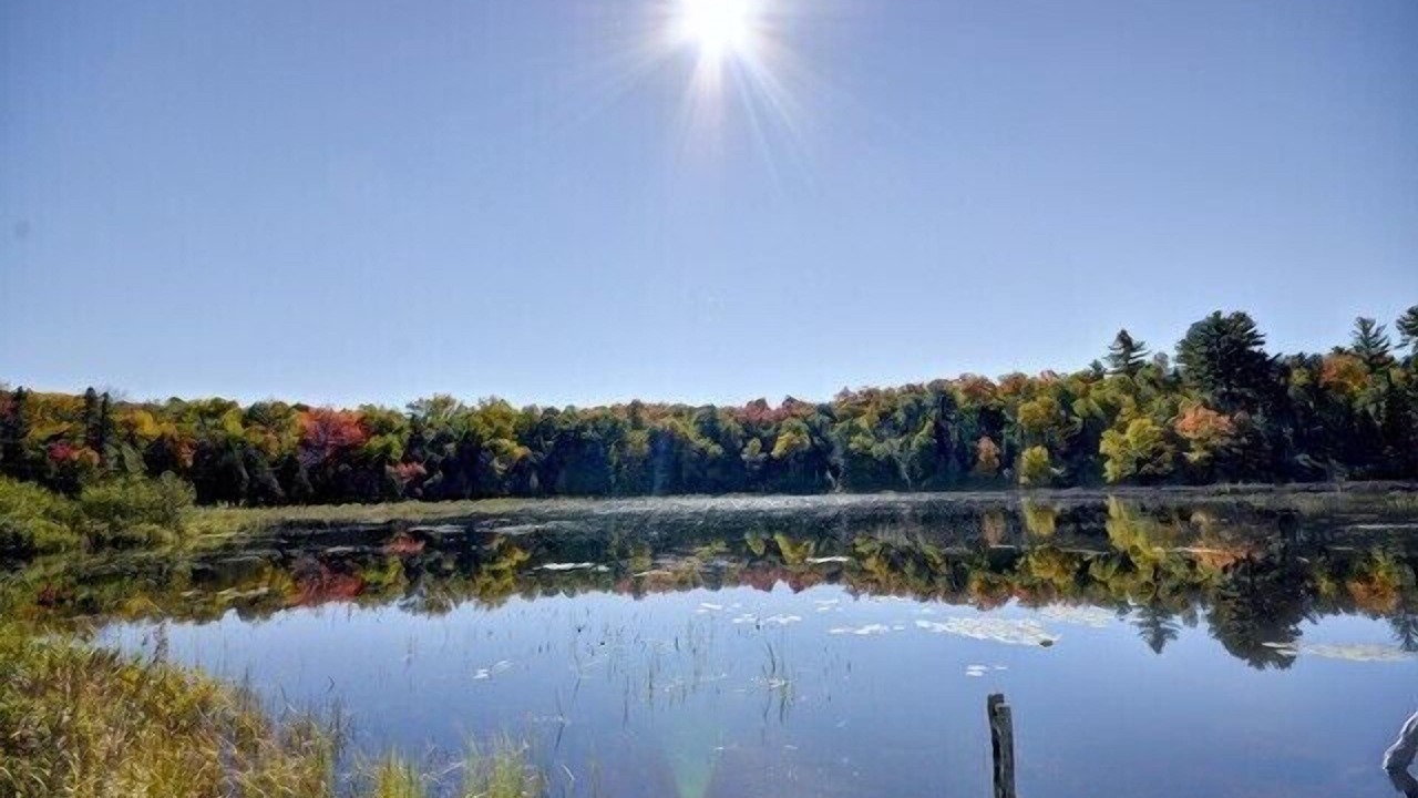 Photo of Outdoor in Magnetawan
