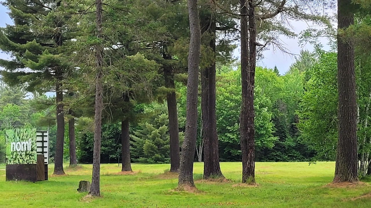 Photo of Outdoor in Harcourt