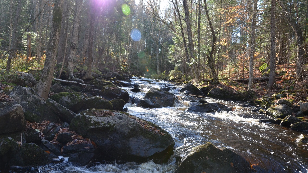 Photo of Outdoor in Harcourt