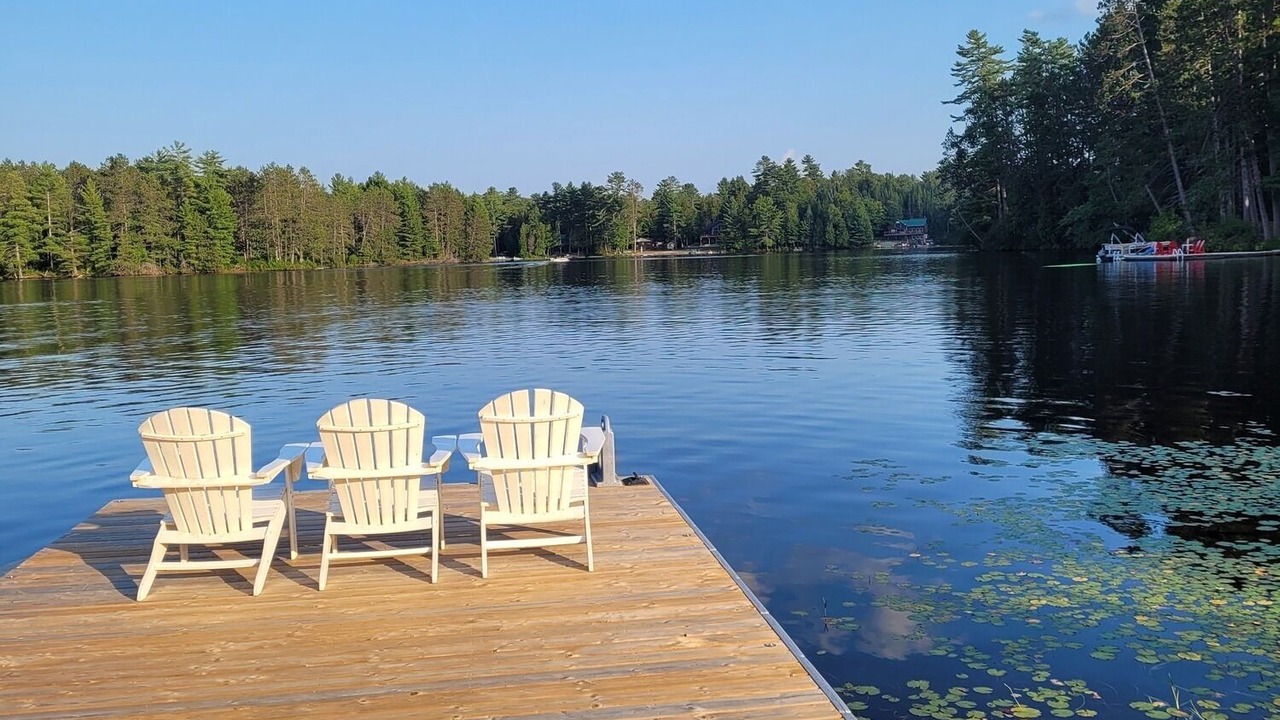 Photo of Outdoor in Harcourt