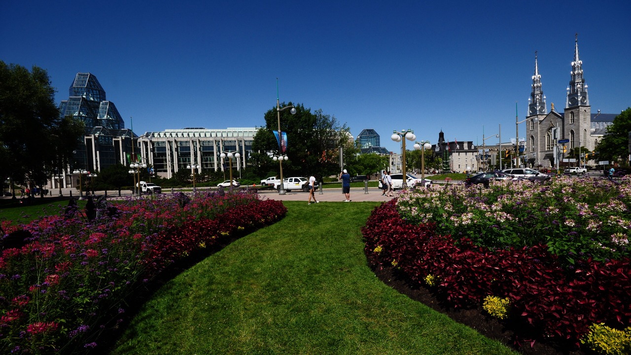 Photo of Others in Downtown Ottawa