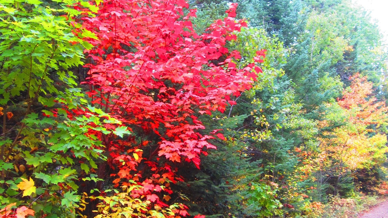 Photo of Outdoor in Hastings Highlands