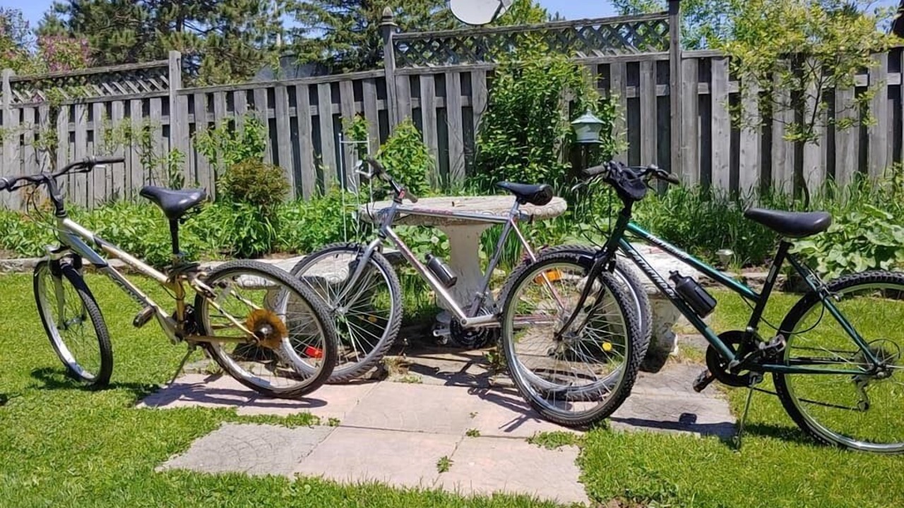 Photo of Outdoor in Hastings Highlands