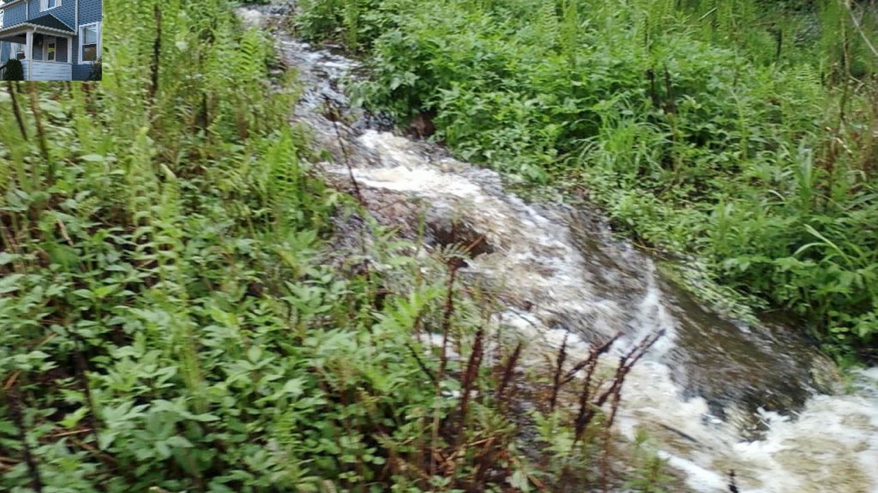 Photo of Others in Haliburton