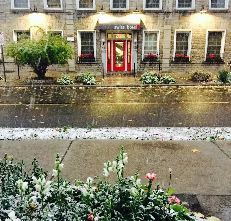 Photo of Outdoor in Downtown Ottawa