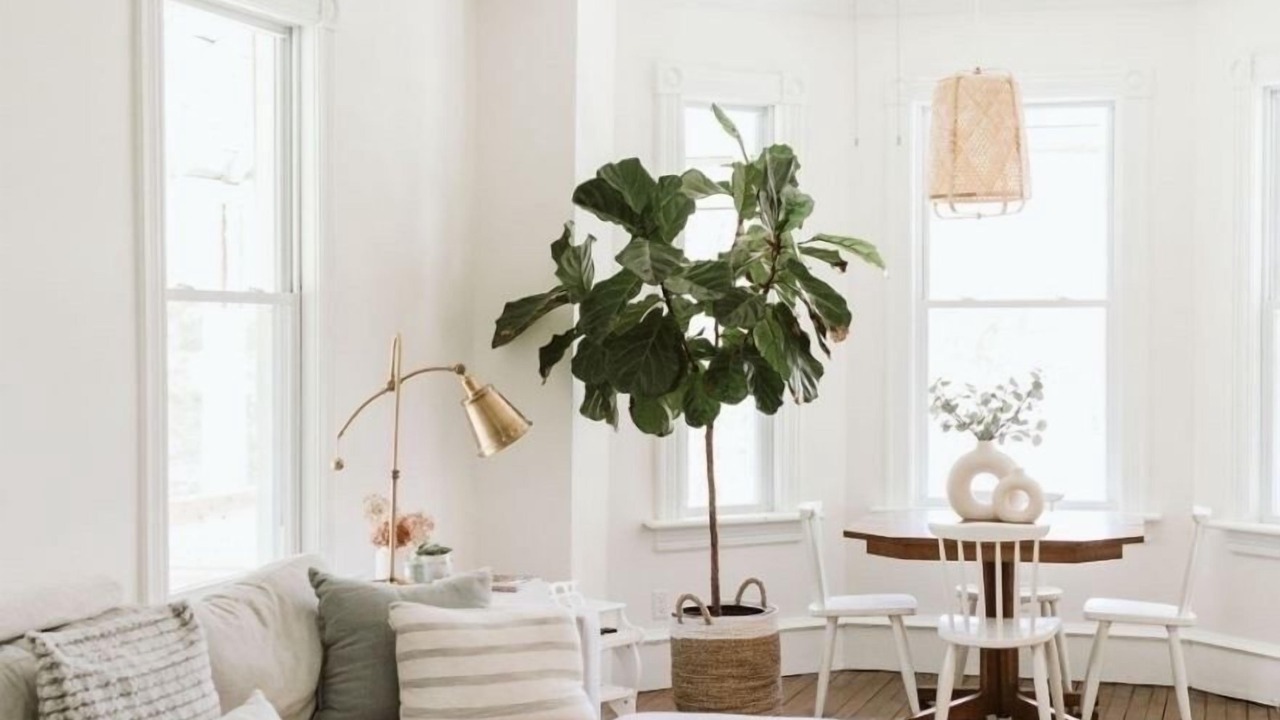 Photo of Livingroom in Bala