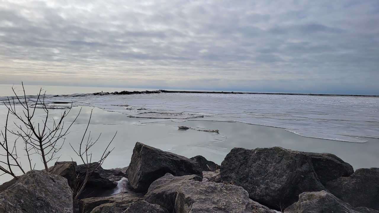 Photo of Others in Port Stanley