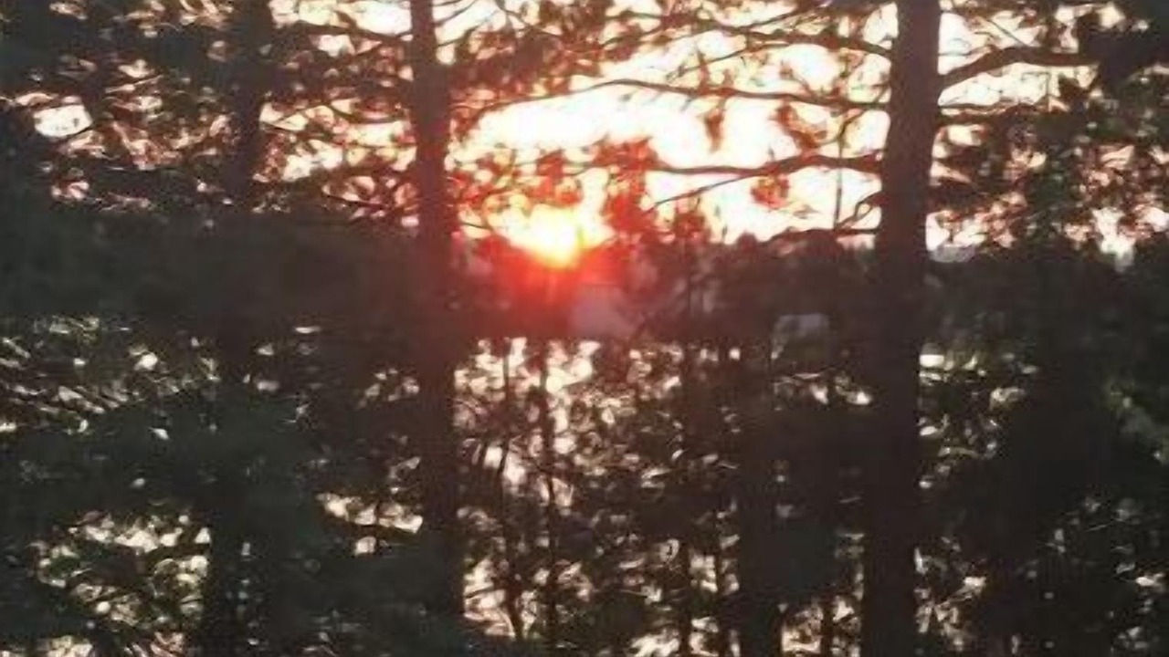 Photo of Outdoor in Marcell