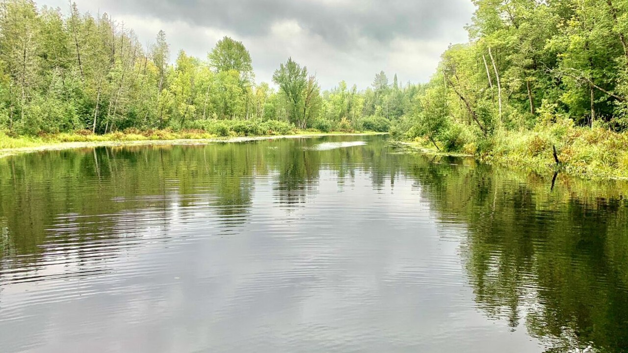 Photo of Others in Bancroft