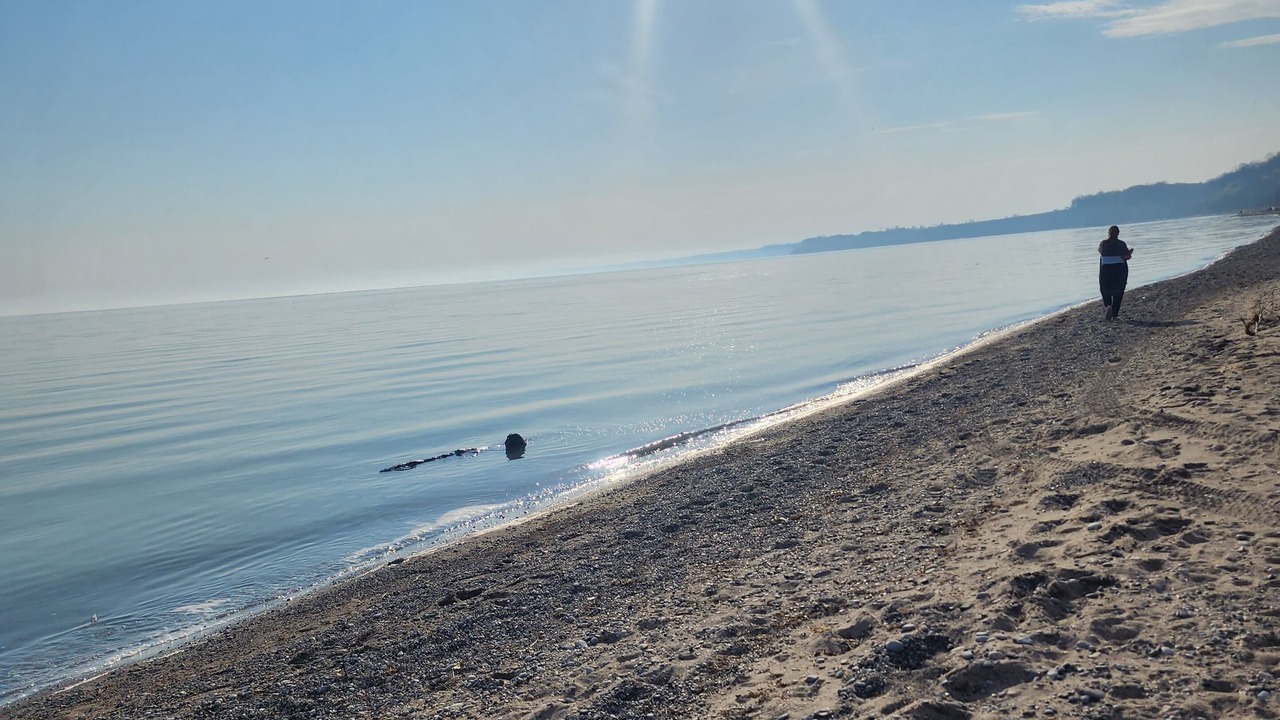 Photo of Others in Port Stanley