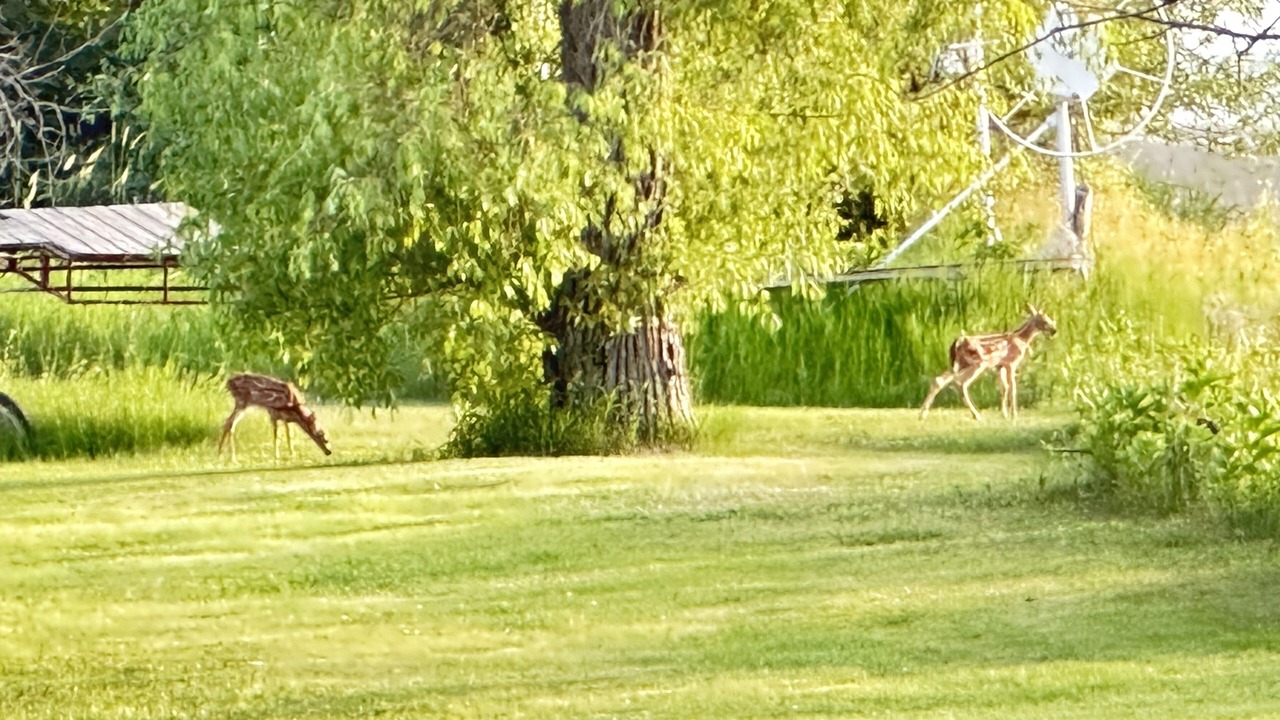 Photo of Others in Bemidji