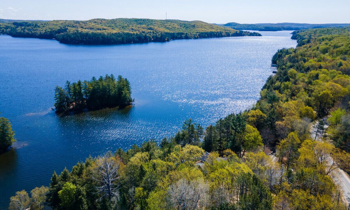Photo of Others in Lake of Bays