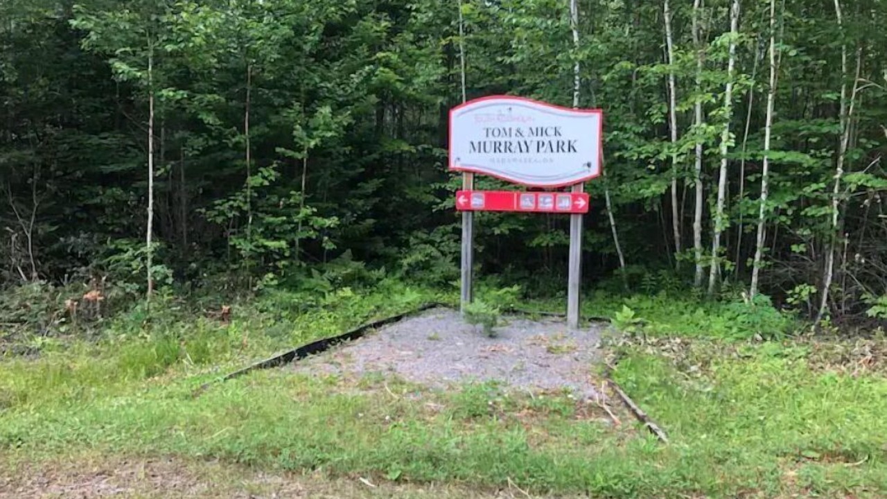 Photo of Outdoor in South Algonquin