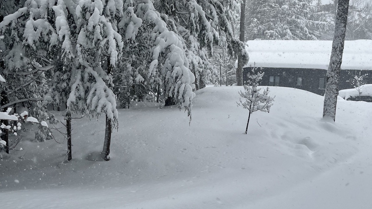 Photo of Outdoor in Norland