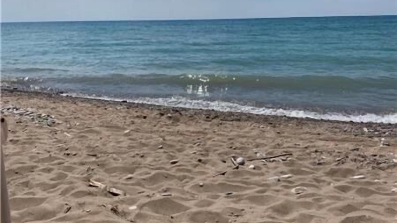 Photo of Others in Bayfield