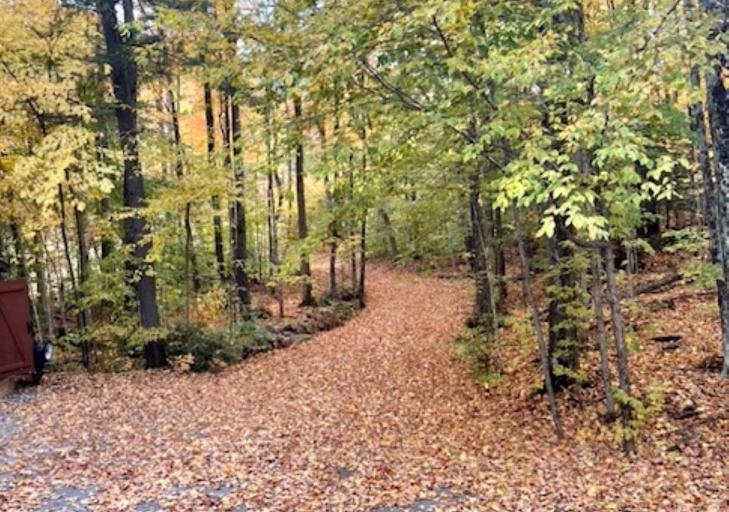 Photo of Outdoor in North Kawartha