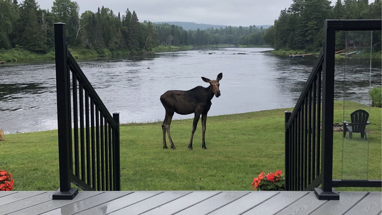 Photo of Outdoor in Greater Madawaska