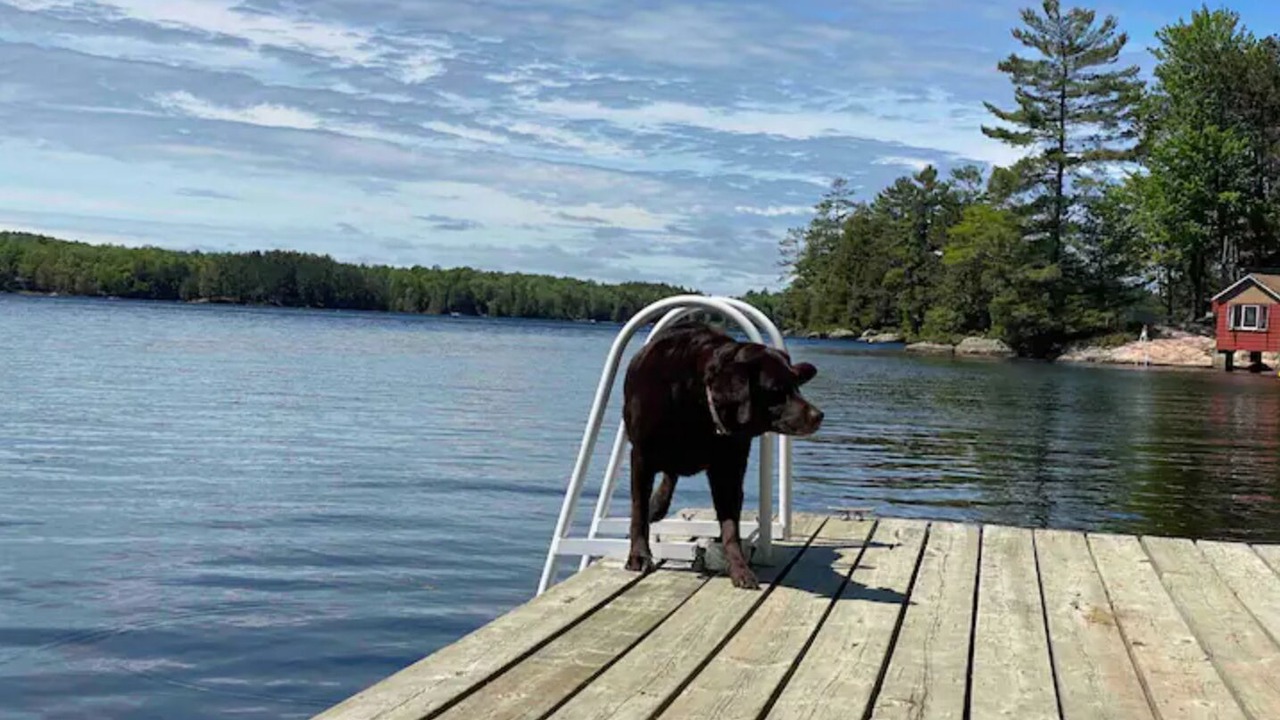 Photo of Others in North Kawartha