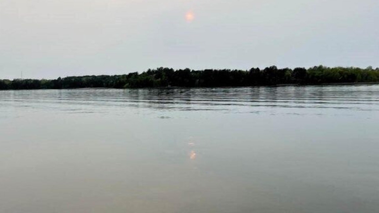 Photo of Others in Walker