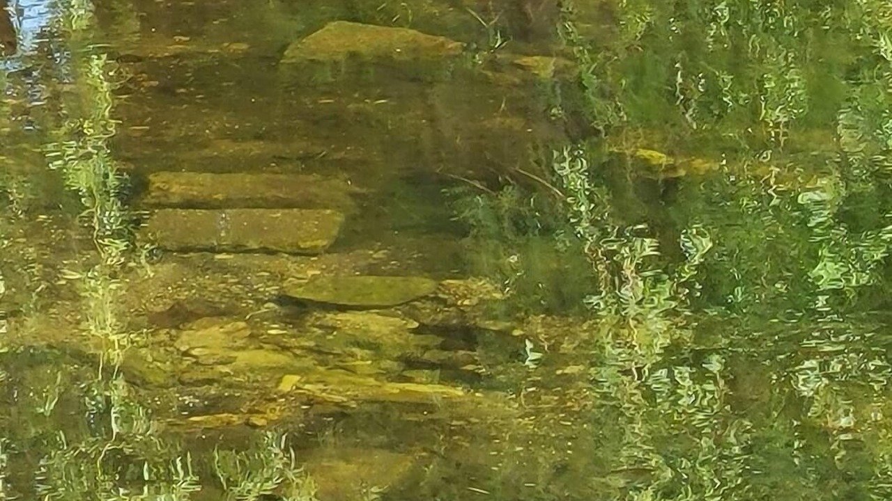 Photo of Others in Selwyn