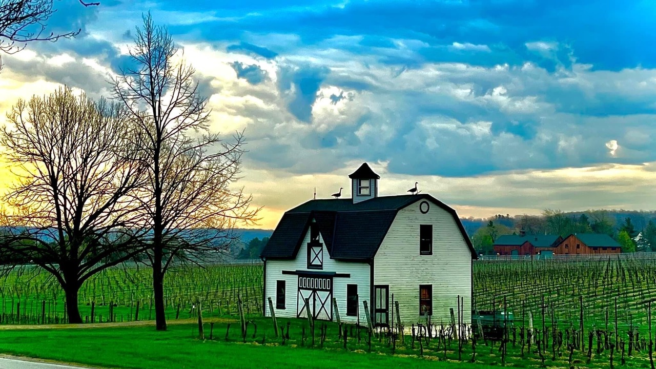Photo of Outdoor in Beamsville