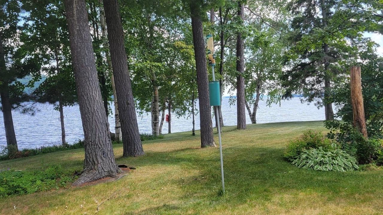 Photo of Outdoor in Timiskaming District