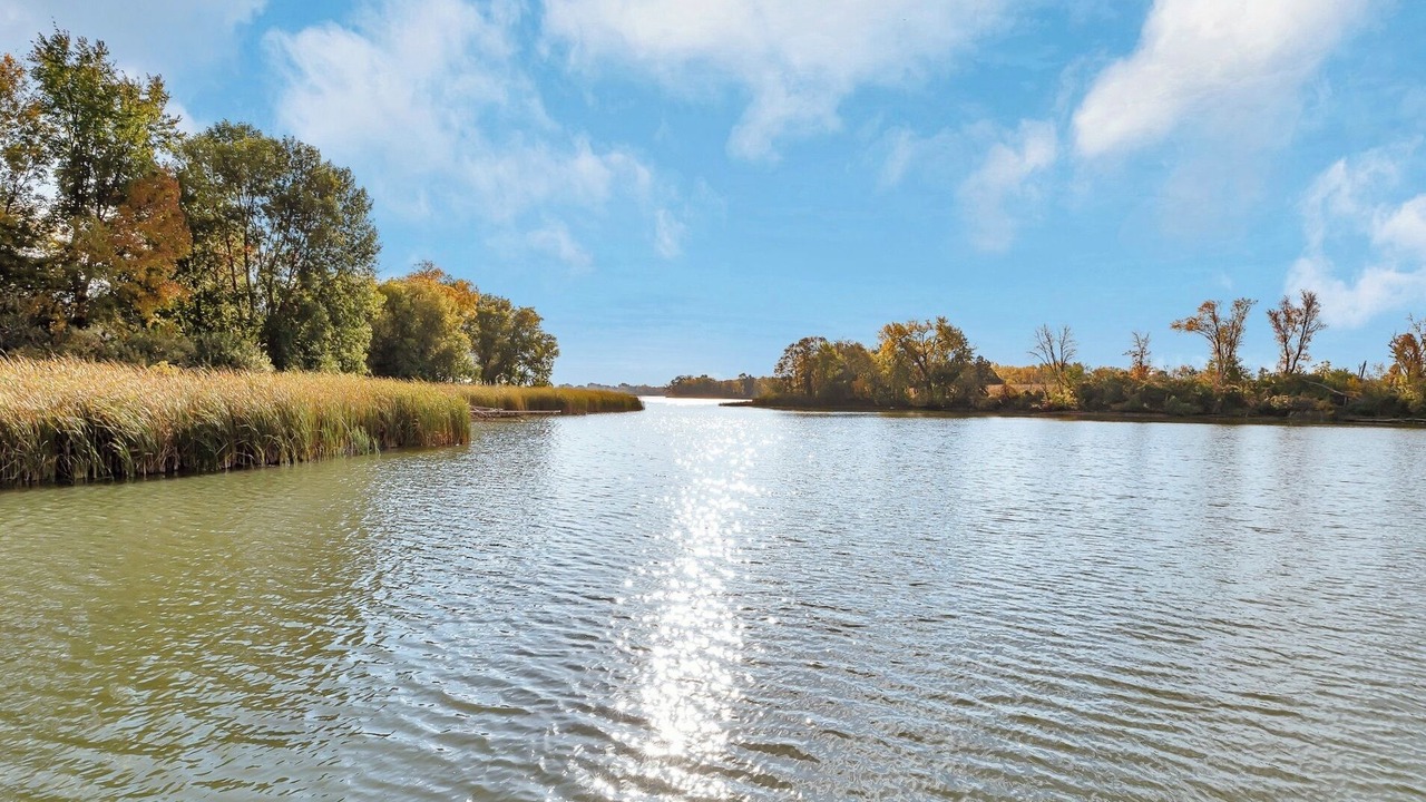 Photo of Others in Willmar