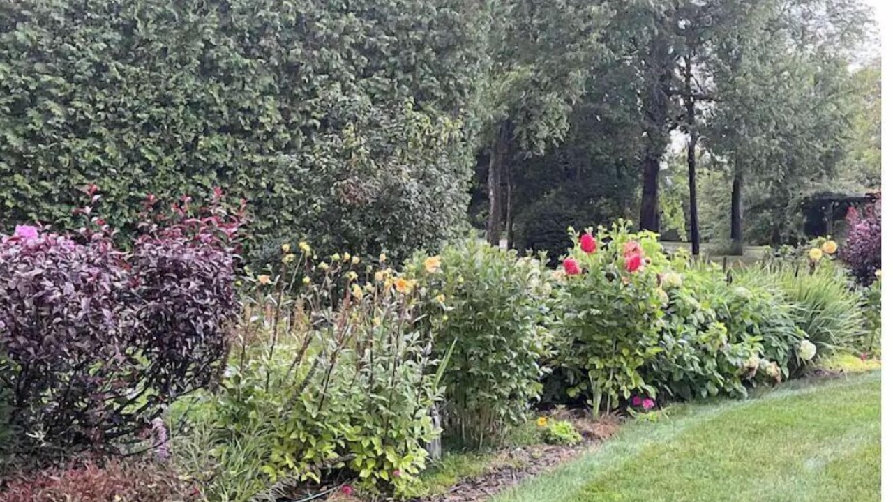 Photo of Outdoor in Tillsonburg
