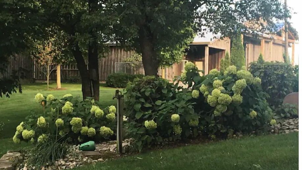 Photo of Outdoor in Tillsonburg
