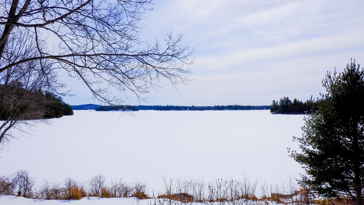 Photo of Outdoor in Rideau Lakes