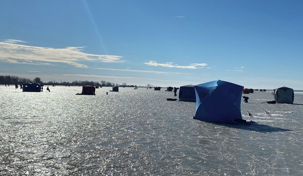Photo of Outdoor in Pointe aux Roches