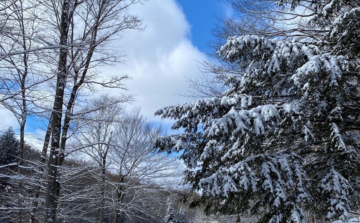 Photo of Outdoor in Weslemkoon