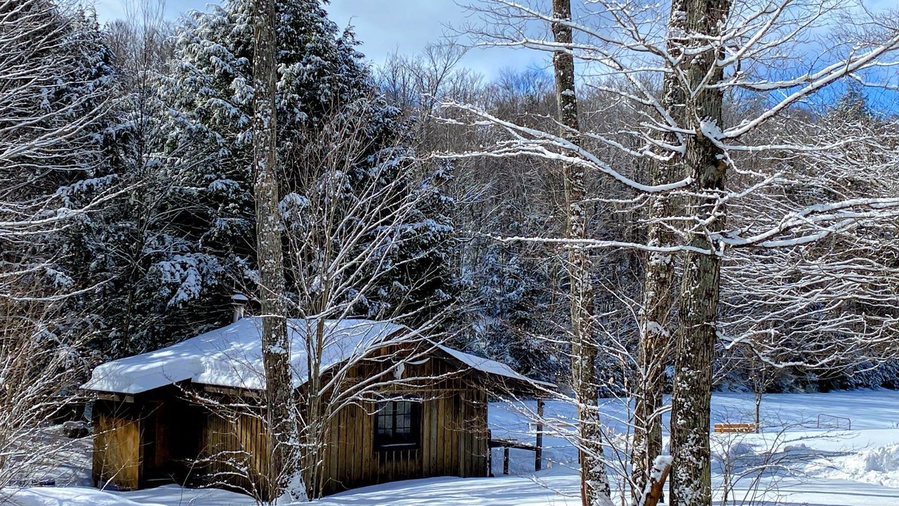 Photo of Outdoor in Weslemkoon