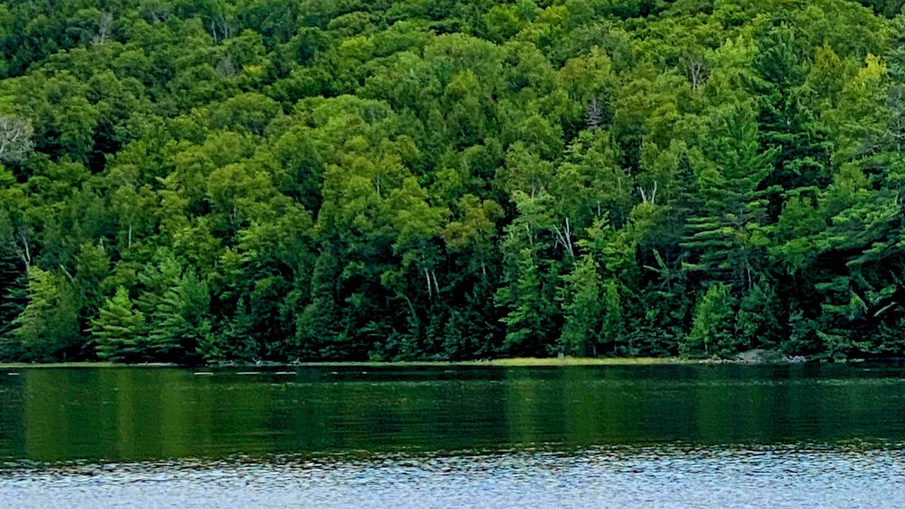 Photo of Others in Weslemkoon