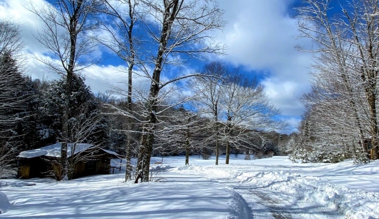 Photo of Outdoor in Weslemkoon