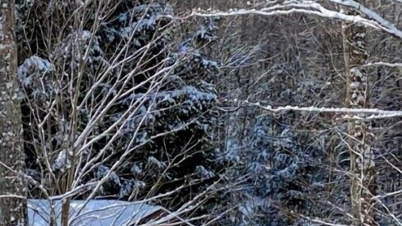 Photo of Outdoor in Weslemkoon