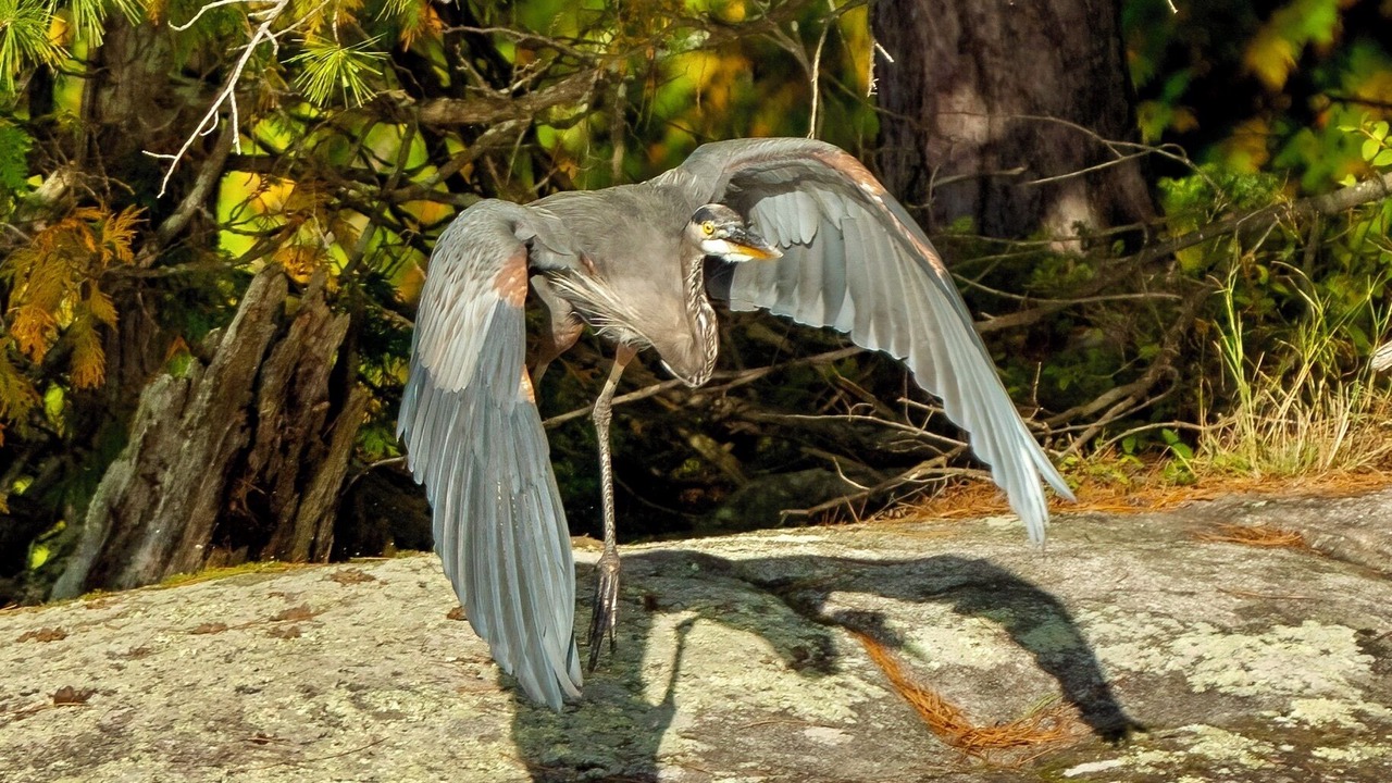 Photo of Others in North Frontenac