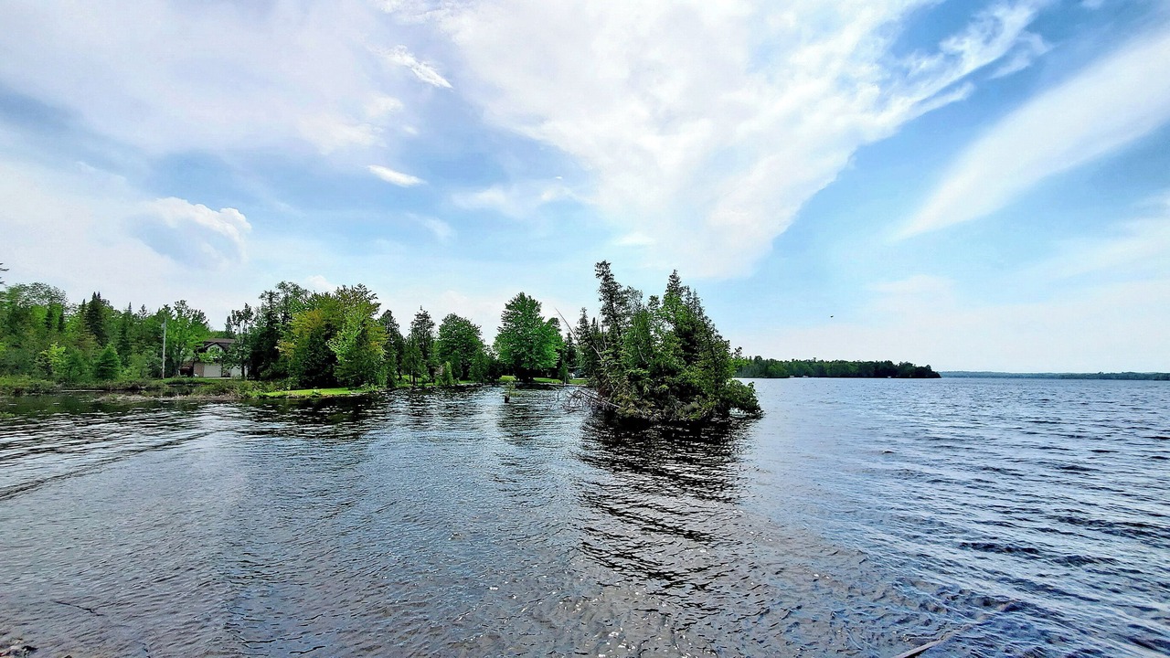 Photo of Others in Bobcaygeon