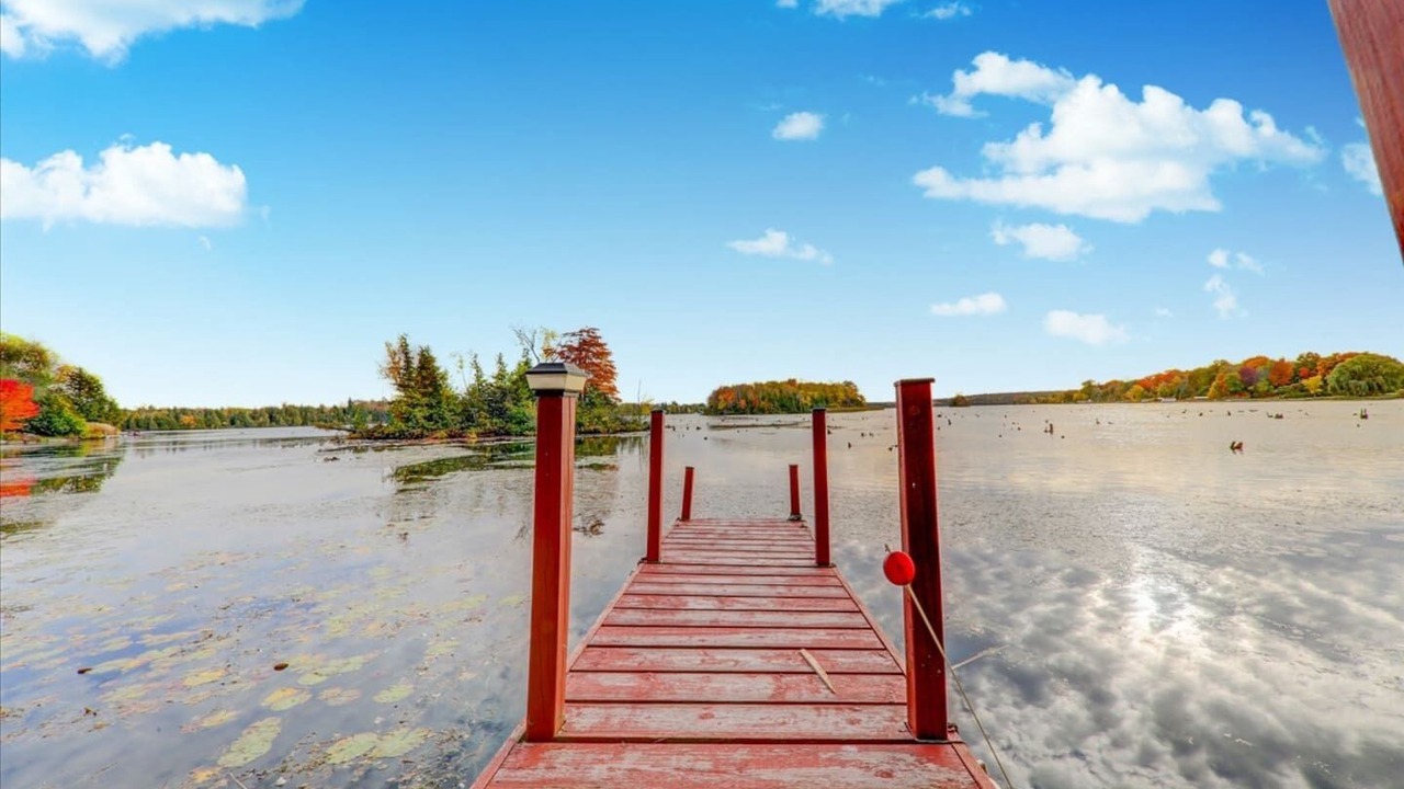 Photo of Outdoor in Kawartha Lakes